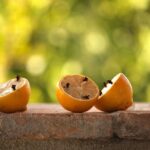 Metodo naturale per allontanare le zanzare in modo efficace e sorprendente.