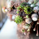 Piante grasse con radici marce, segnale di eccesso d'acqua.