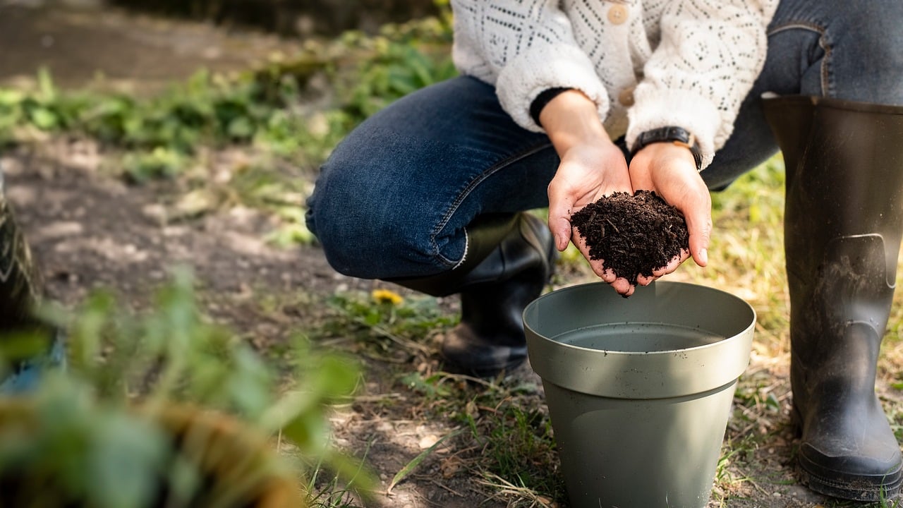 Barattolo di caffè usato accanto a piante verdi, illustrando il metodo di concimazione naturale.