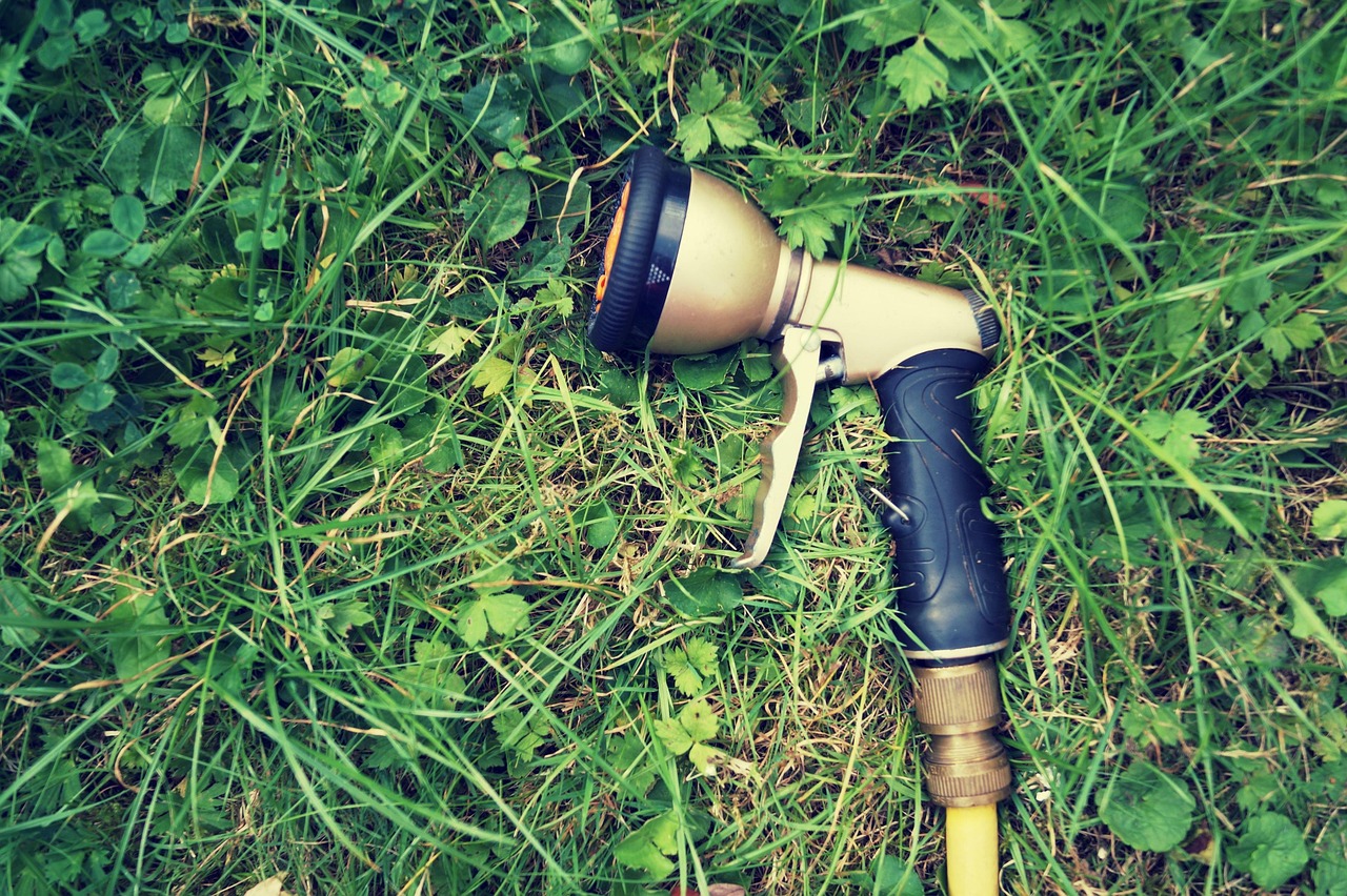 Prato ingiallito con trattamenti al ferro per ripristinare il colore verde.