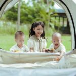 Immagine di un orto familiare ben curato, con piante di verdure e frutta adatte per quattro persone.