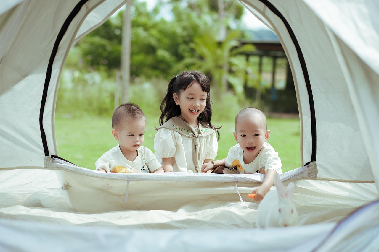Immagine di un orto familiare ben curato, con piante di verdure e frutta adatte per quattro persone.
