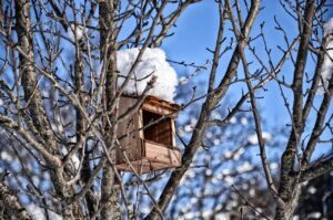 Rifugio per uccelli invernale realizzato con materiali semplici, appeso tra gli alberi.